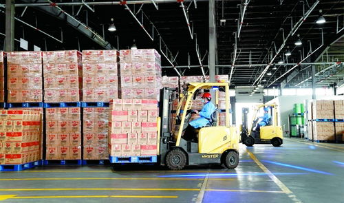 上海666家重点企业复工复产稳步推进，运输能力逐步恢复